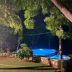 Amaltas