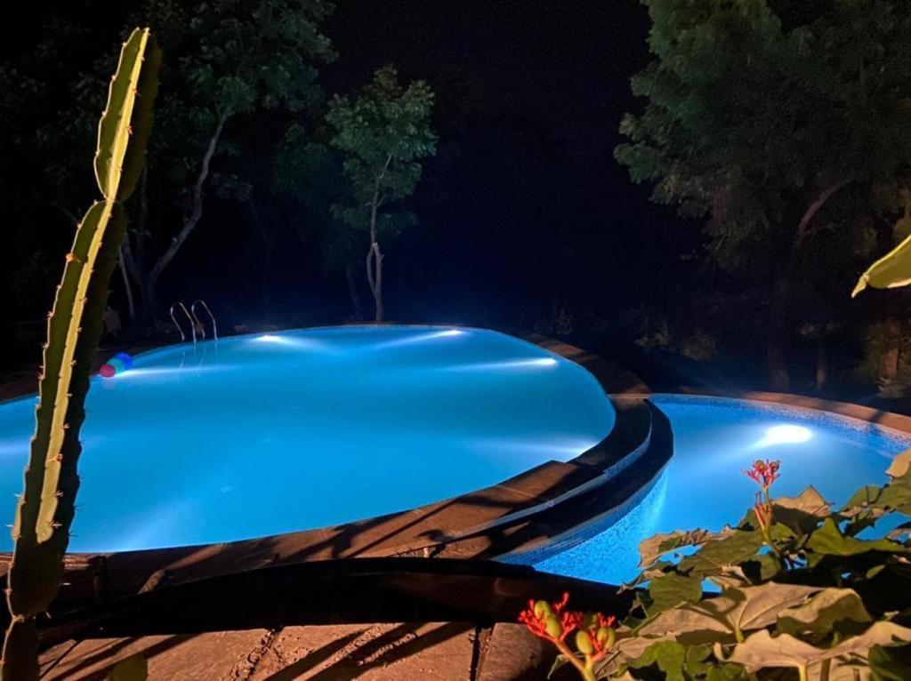 Villa Amaltas *