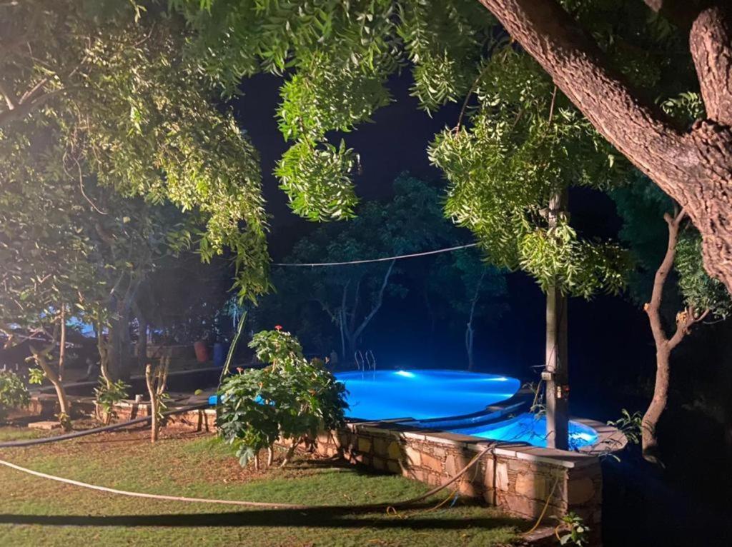 Villa Amaltas Udaipur