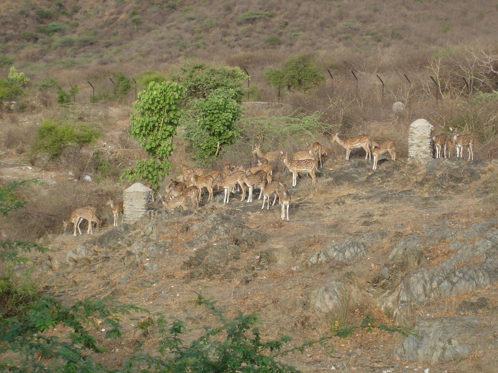 Raj Niwas