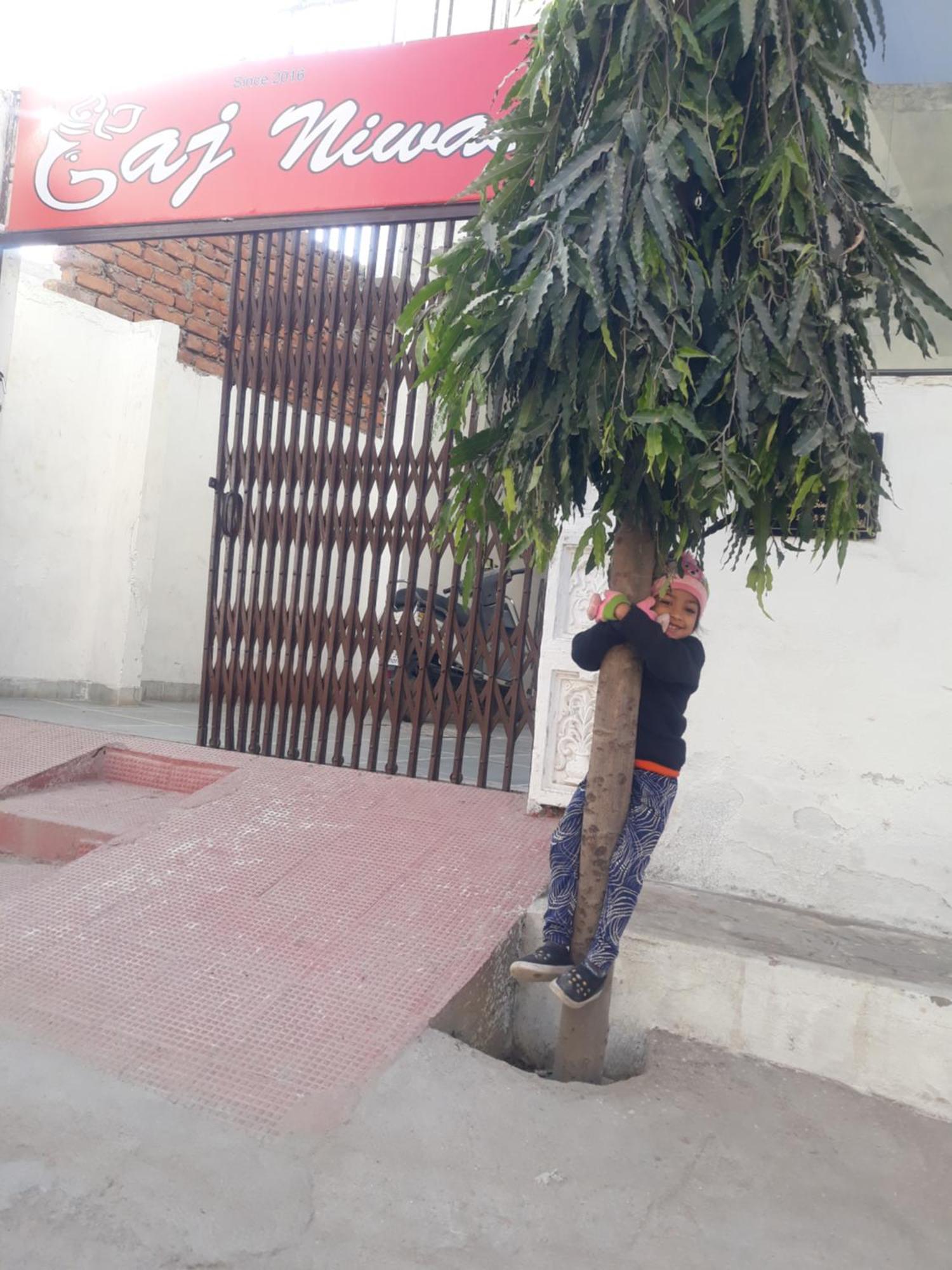 Guest house Gaj Niwas And Restaurant,udaipur,rajasthan Udaipur