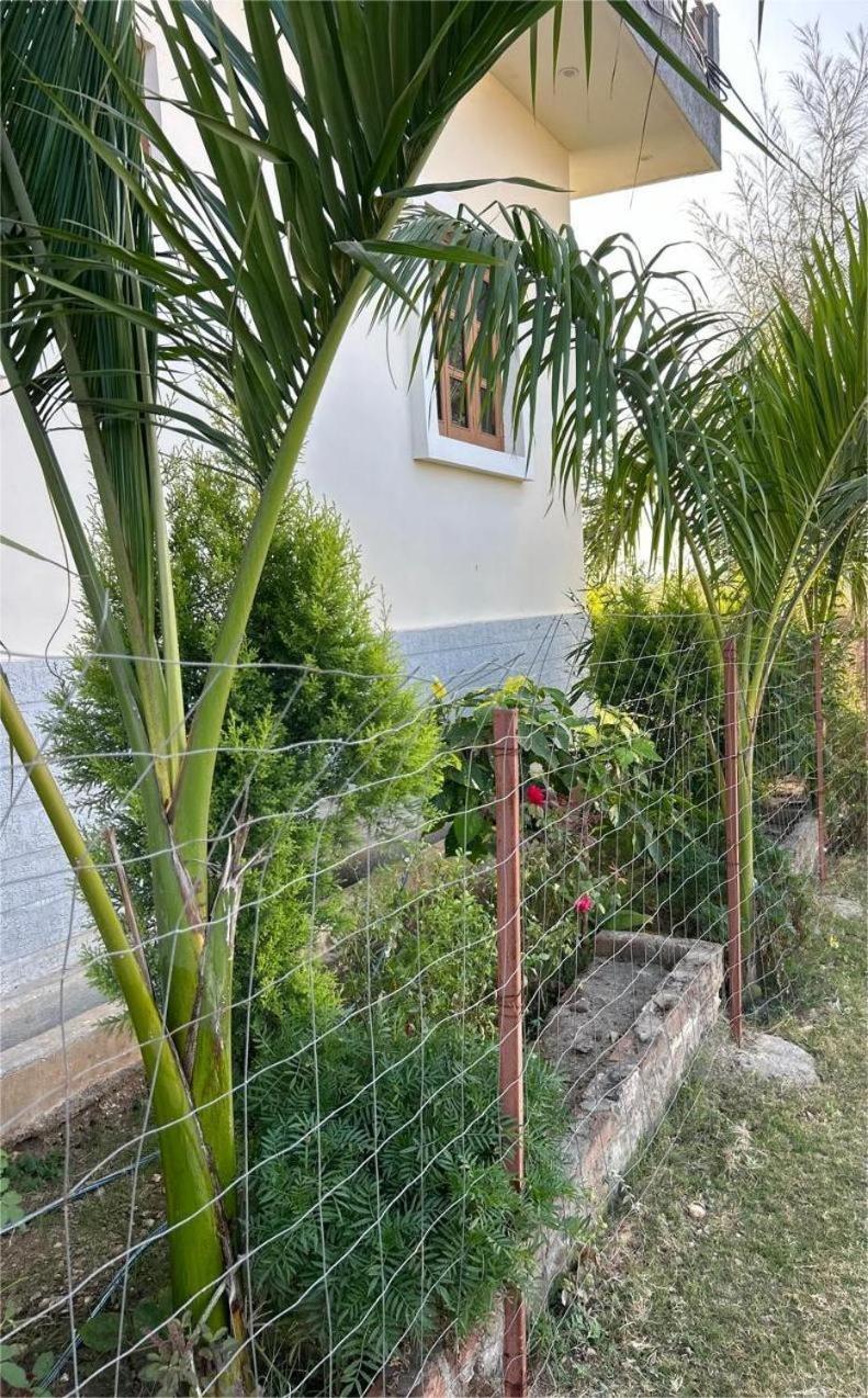 Bhagora Cjma Stay/villa Apartment