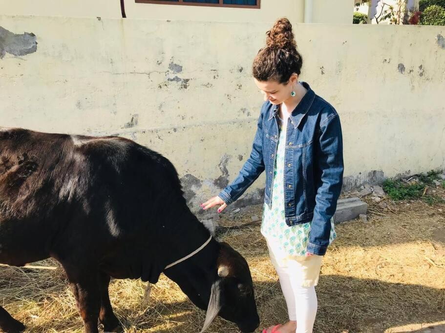 Himmat's Abode- Rajput Family Run, Humble Farm Experience In The Heart Of Udaipur.