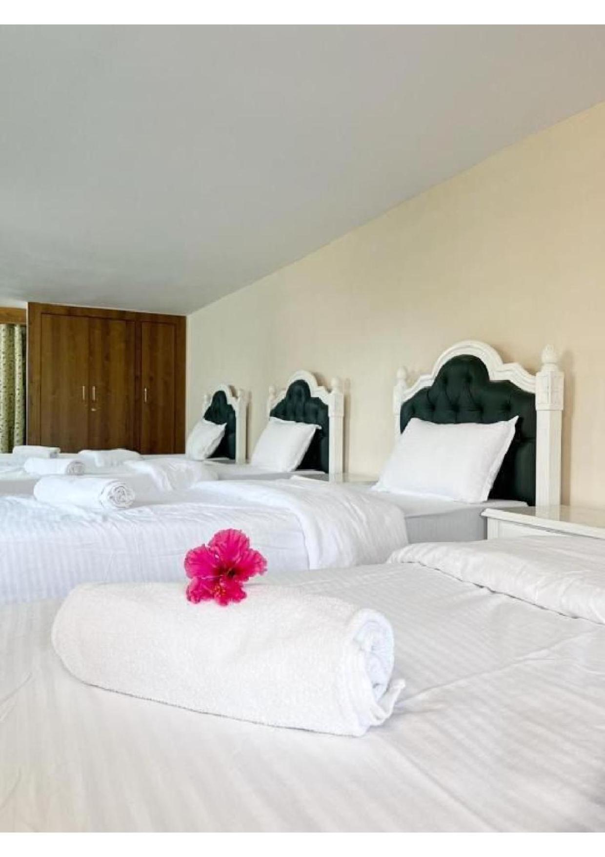 Lake City Villa Villa Udaipur
