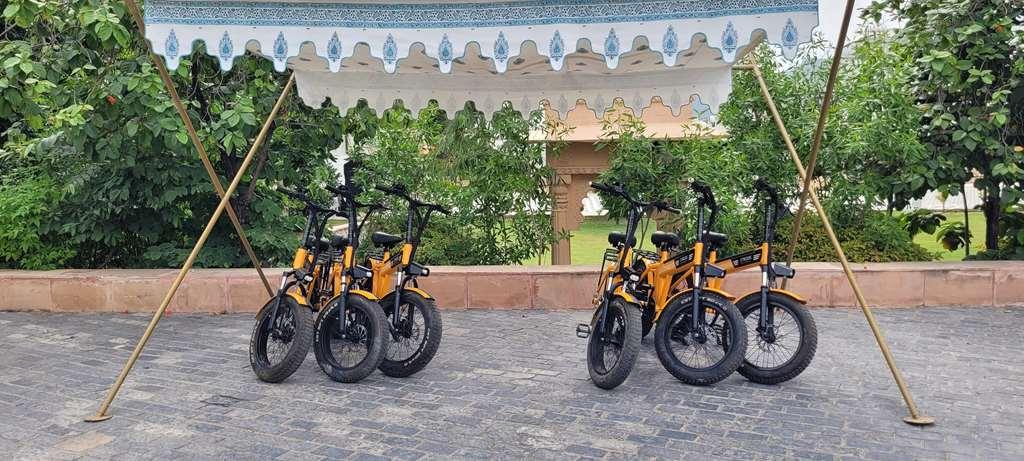 Hotel Radisson Blu Palace & Udaipur