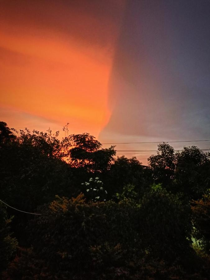 Dhanashree Farm stay