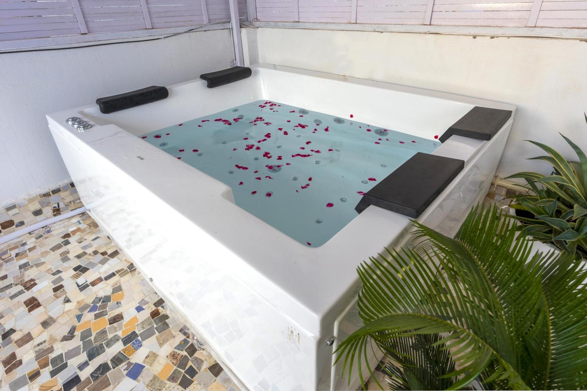 Aravali Homestay With Rooftop Jacuzzi Villa
