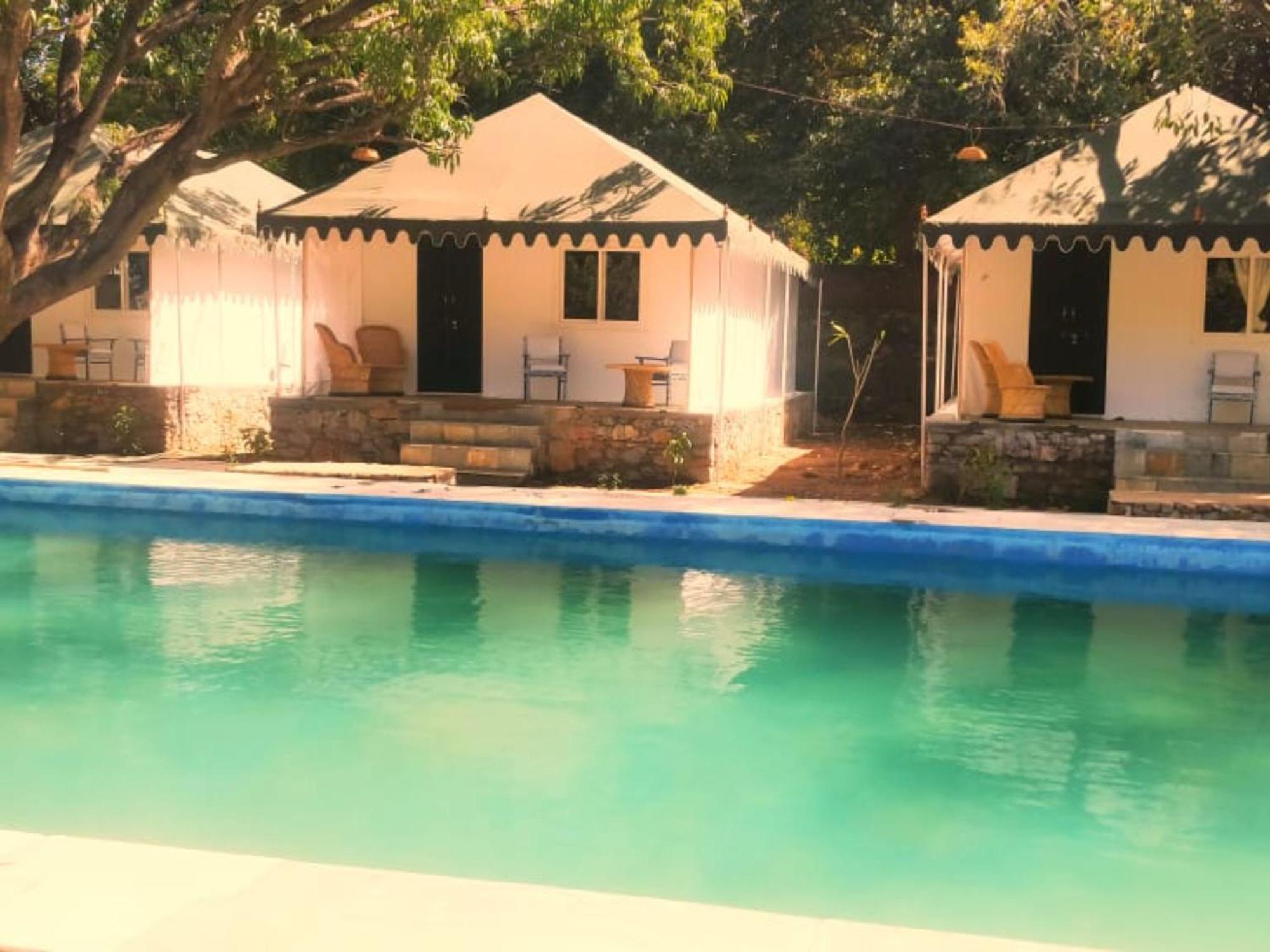 The Chocolate Frog Luxury tent