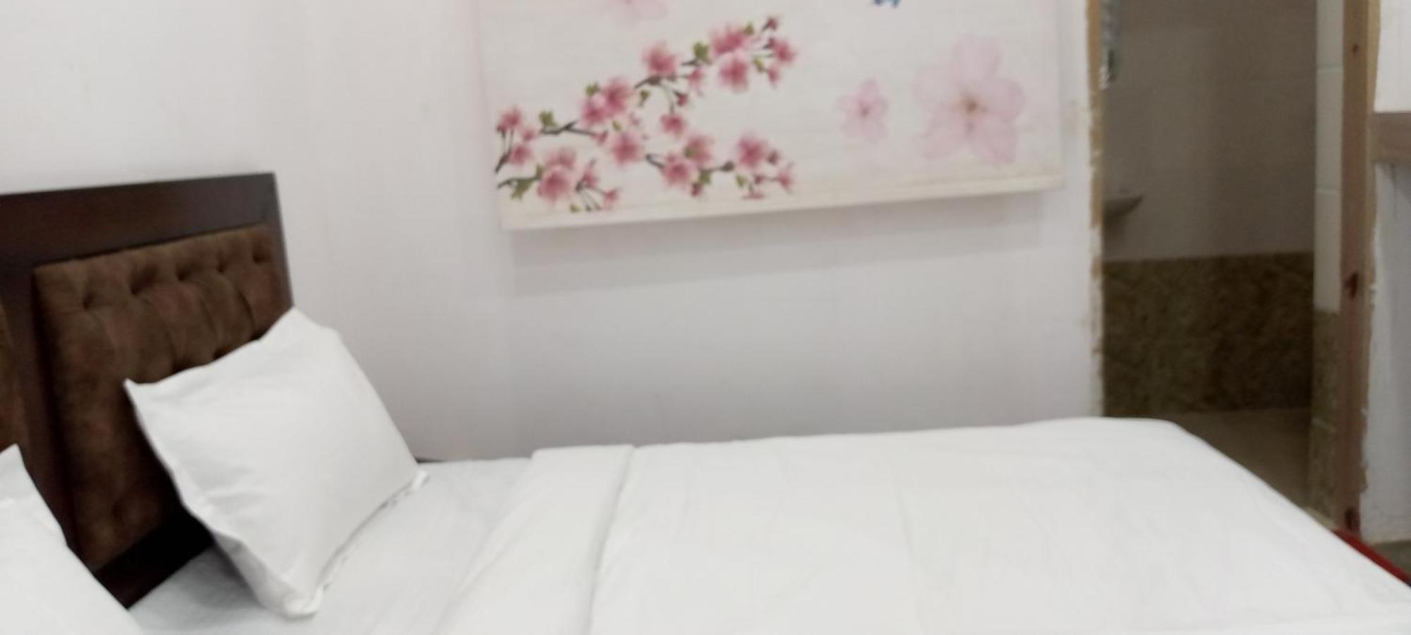 Hotel Jmm S14 Hotel Udaipur