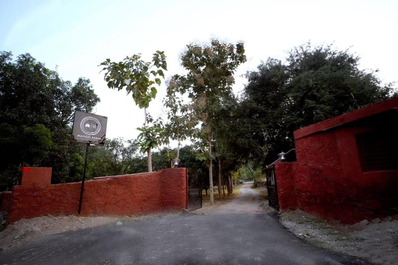 Mango Farm