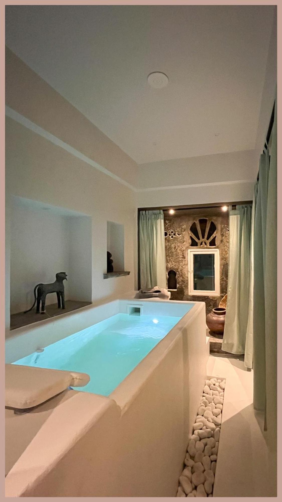 Smiling Sparrows 1 And 2 Bedroom Villa Udaipur
