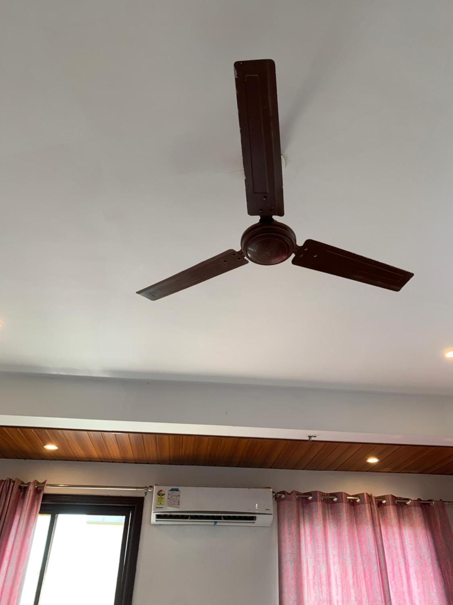 Hotel Jai Mewar Continental Udaipur