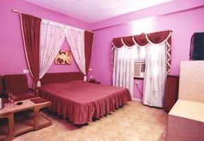 Hotel Padmini Palace 2*