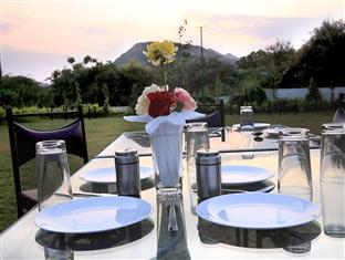 Devi Palace 3* Udaipur
