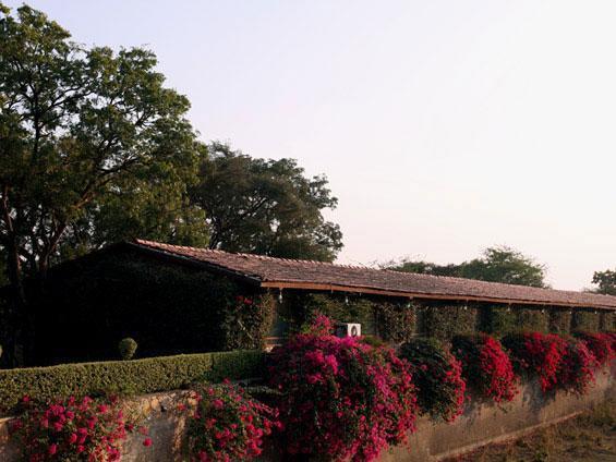 Hotel Shikarbadi - By The Heritage By Hrh Group Of 3*