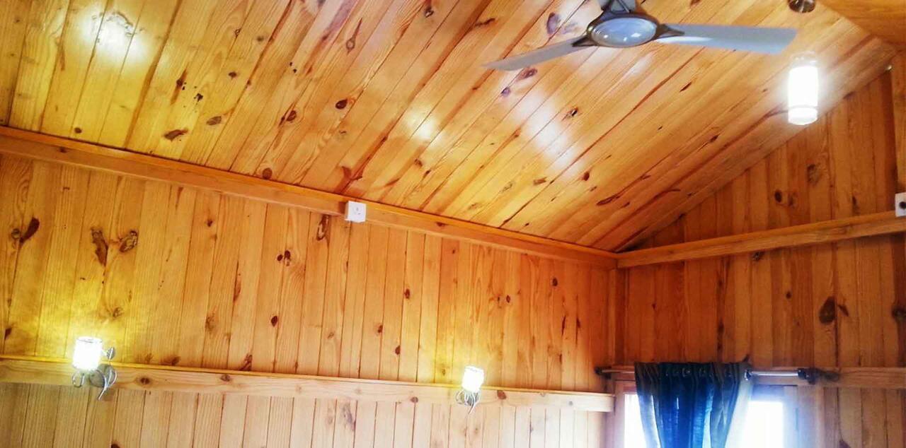 The Rustic Pines *