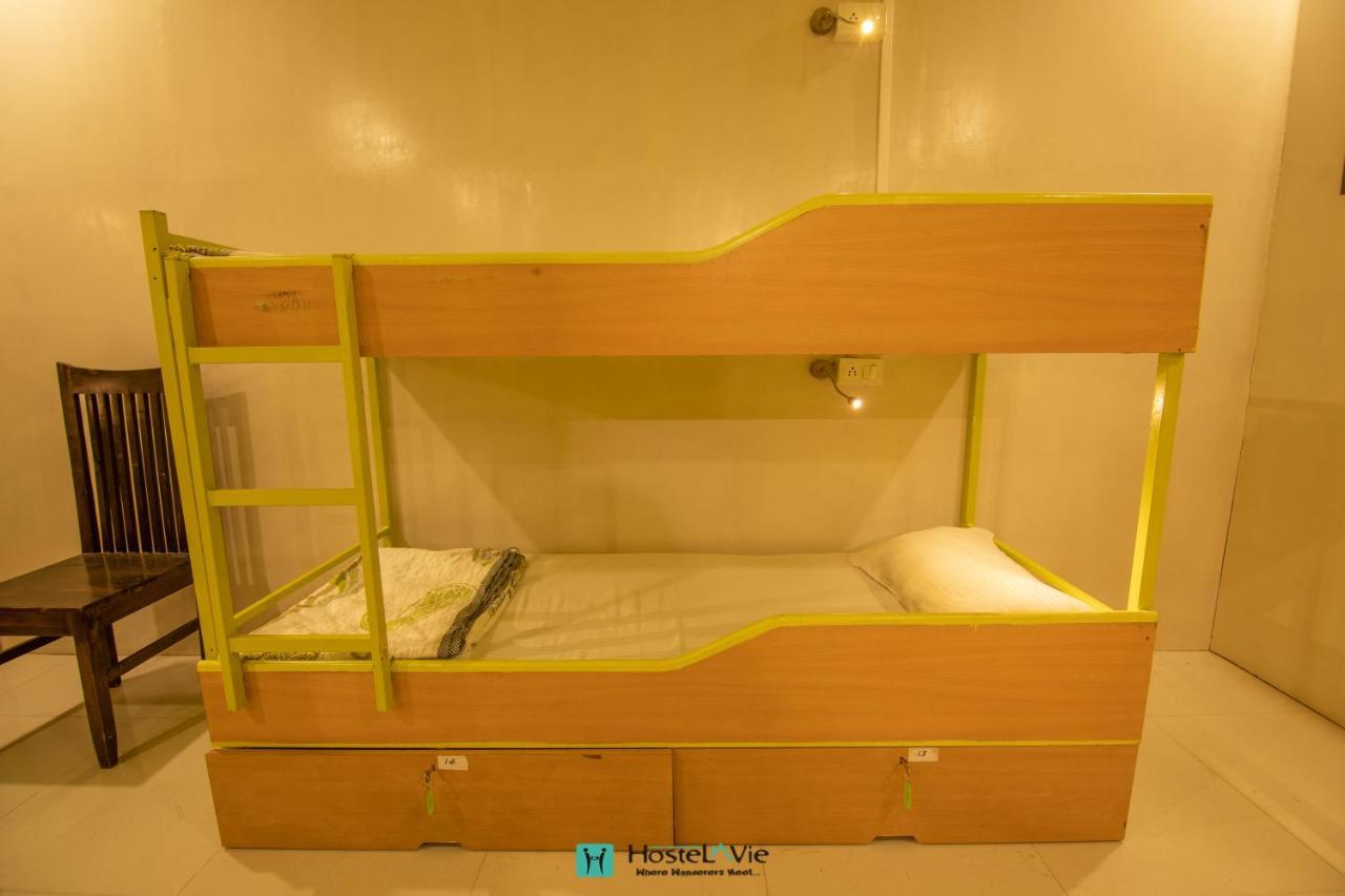 Hostelavie - Udaipur Udaipur