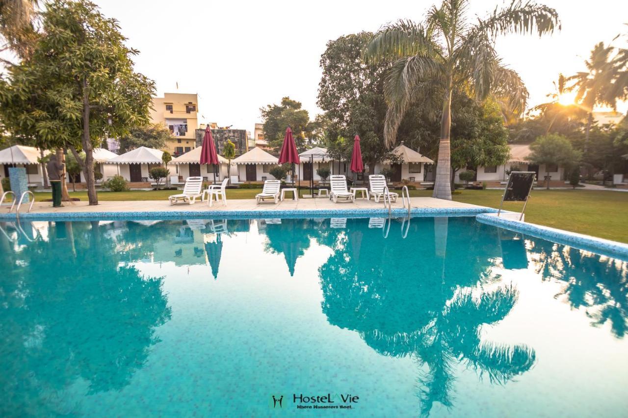 Hostelavie - Udaipur