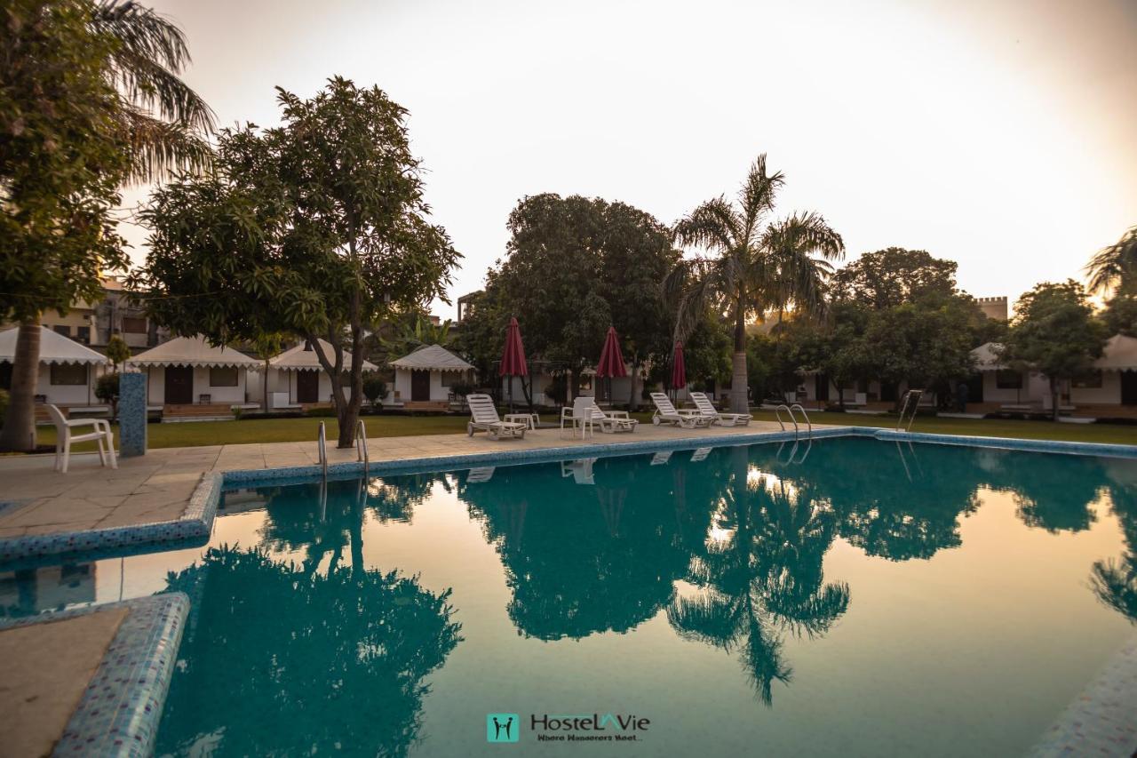 Hostel Hostelavie - Udaipur