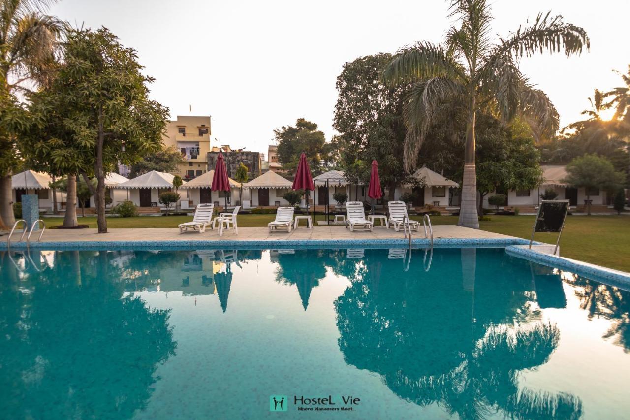 Hostelavie - Udaipur *