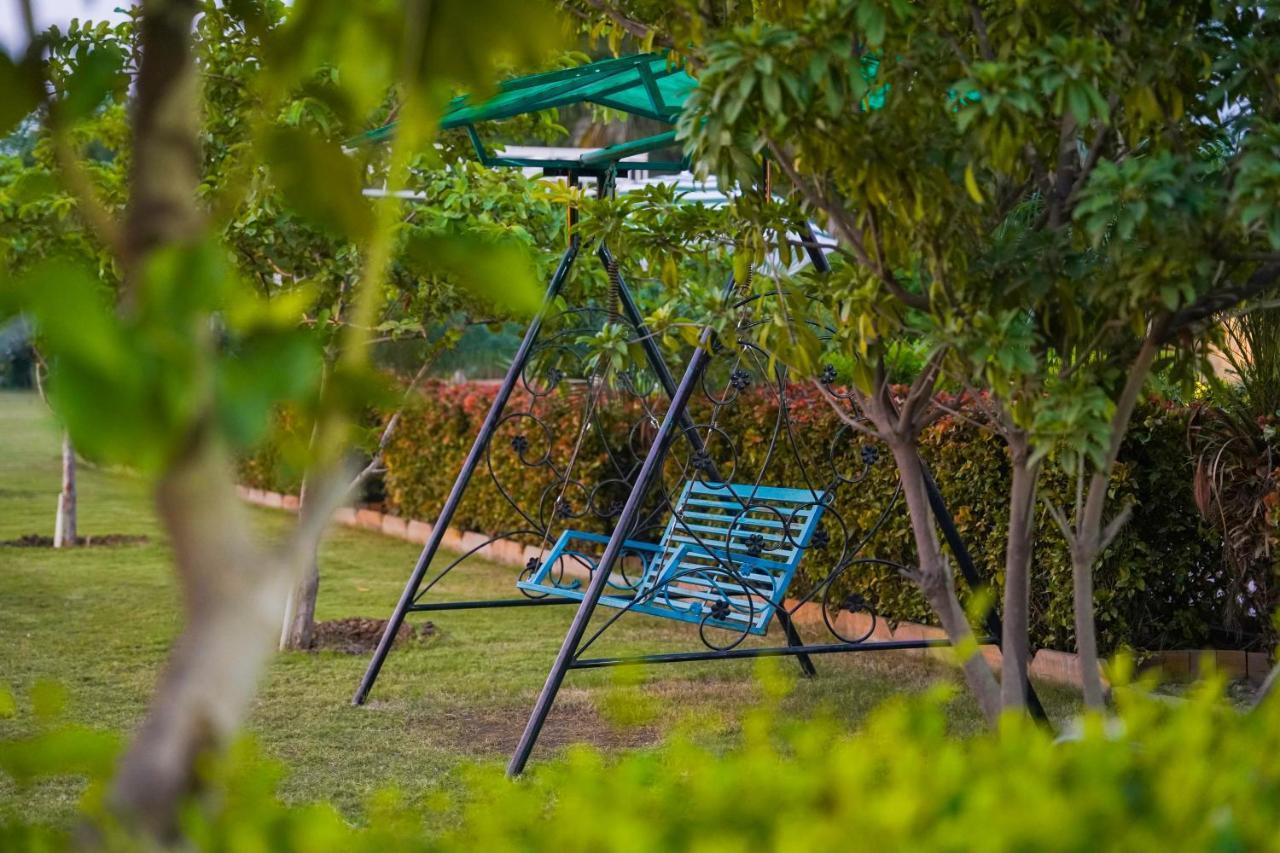 Abha Farms And *