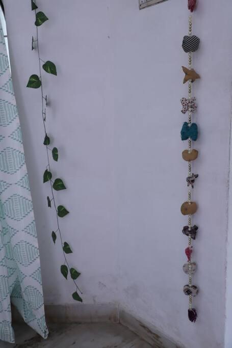 Apartment Titli's Nest Homestay, Couple Friendly *