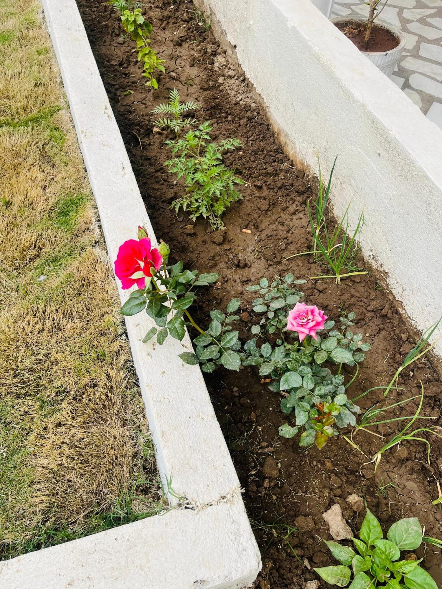 Karni Kripa Apartment Udaipur