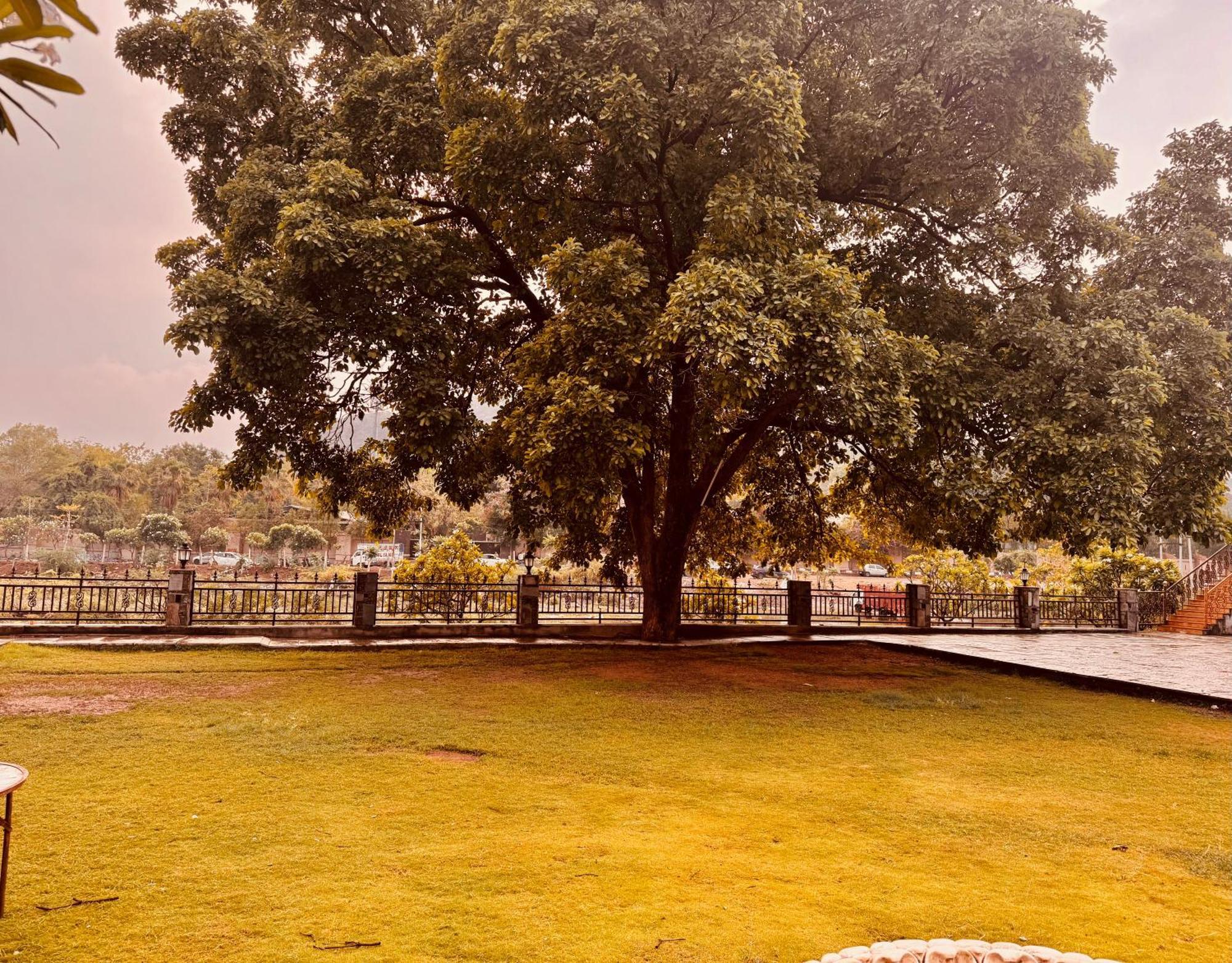 Hotel Udaipur Valley Paradise -A Luxury Stay In Mountains